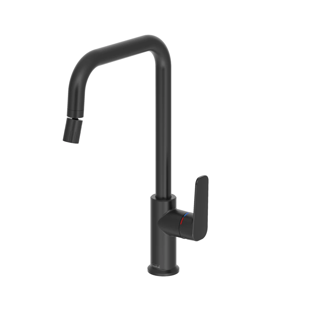 Carmela Functional Kitchen Sink Faucet Matte Black